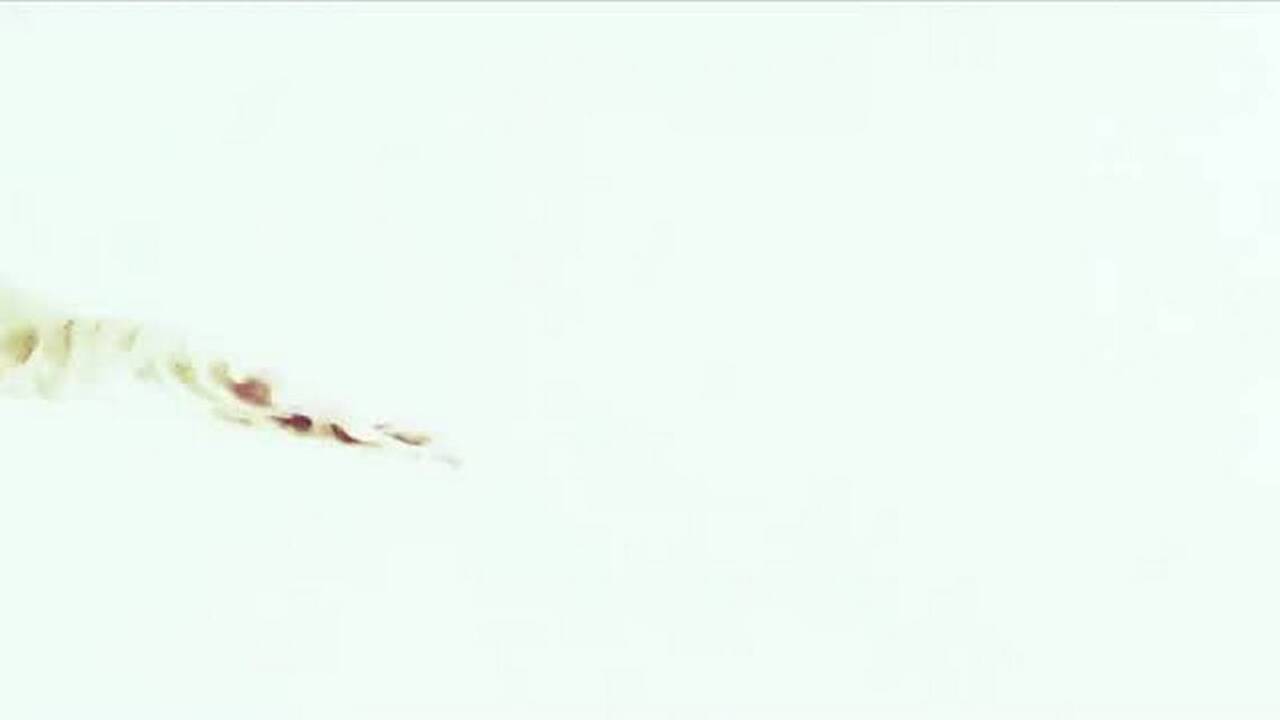 Bucs at 49ers: Matt Barrows' 5 players to watch