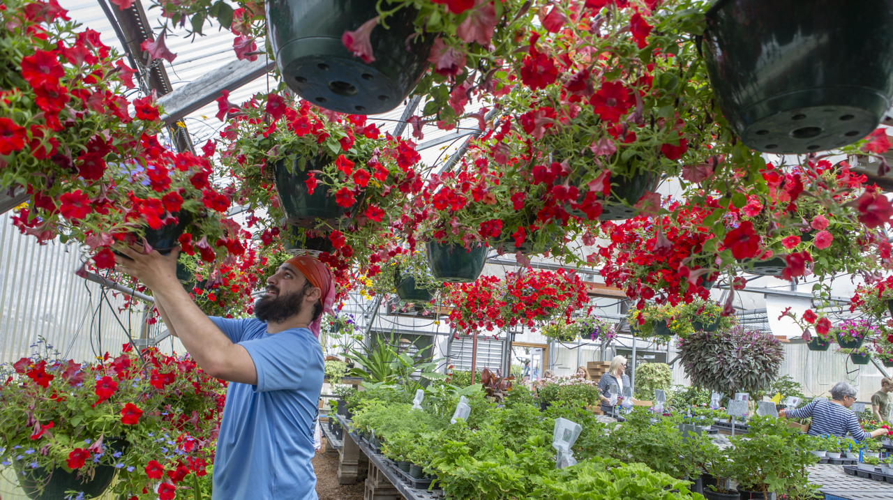 Annual SWIC Horticulture program plant sale at Belleville, campus