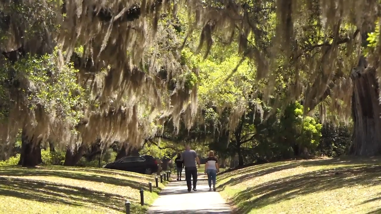 SC’s Brookgreen Gardens undergoing major $20 million overhaul. Here’s what’s planned