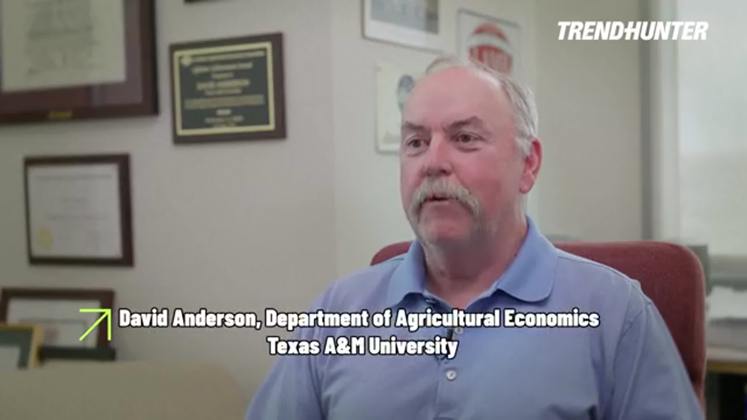 David Anderson Is raising chickens worth it in 2026? The math says no, but the trend is only going to grow from here