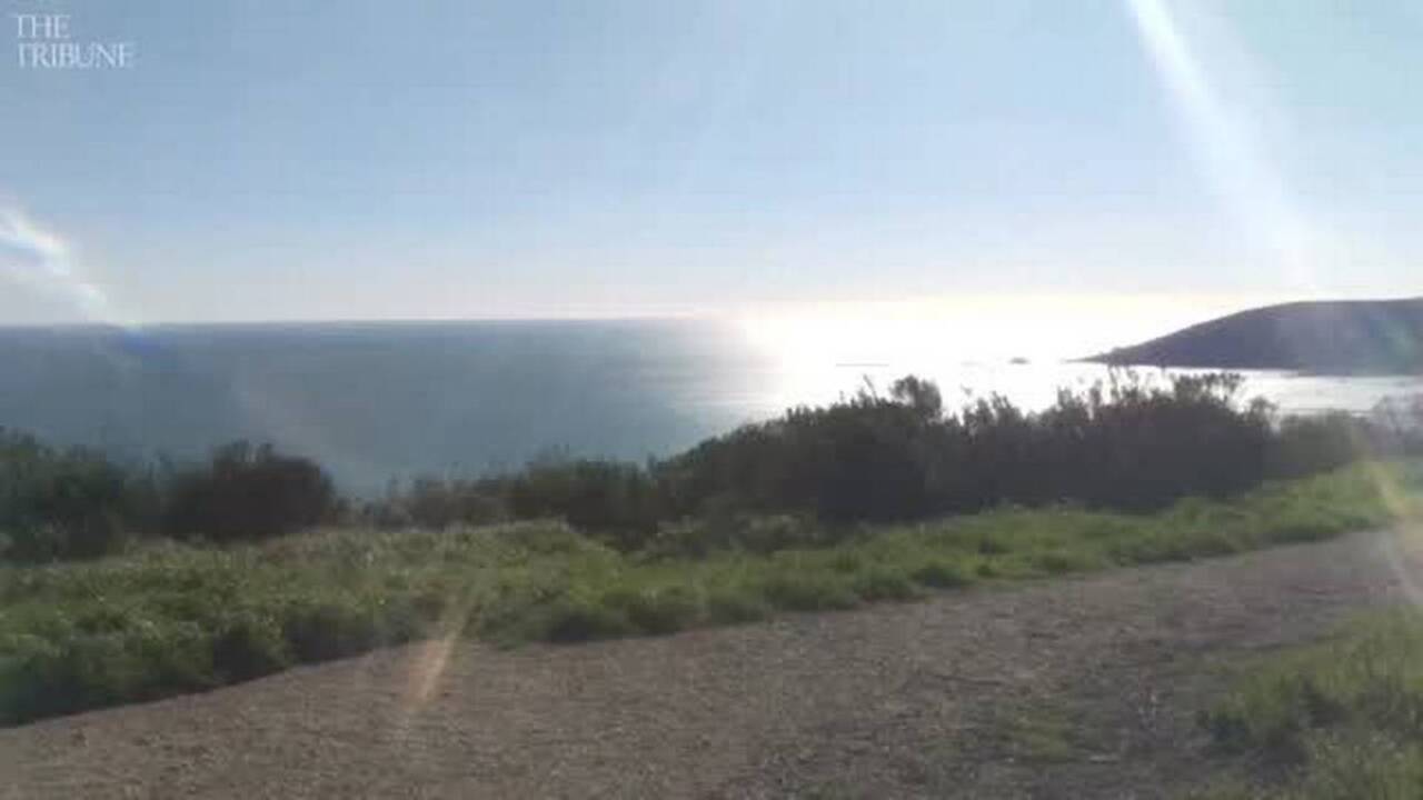 Hiking Sycamore Crest Trail in Avila Beach