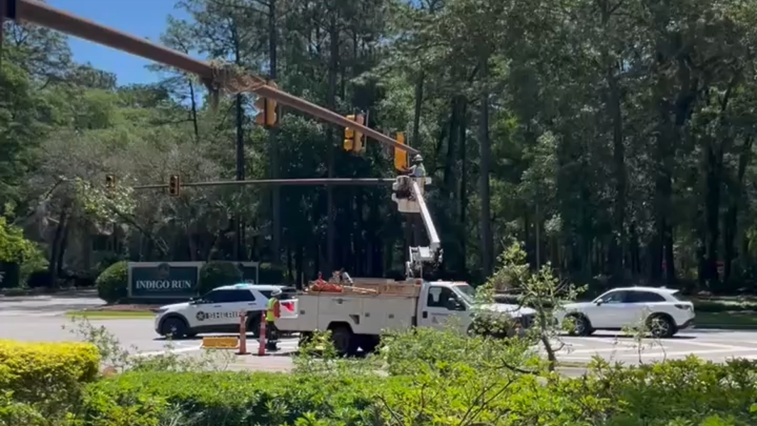 Cellphone footage shows tree that demolished traffic signal on Hilton Head