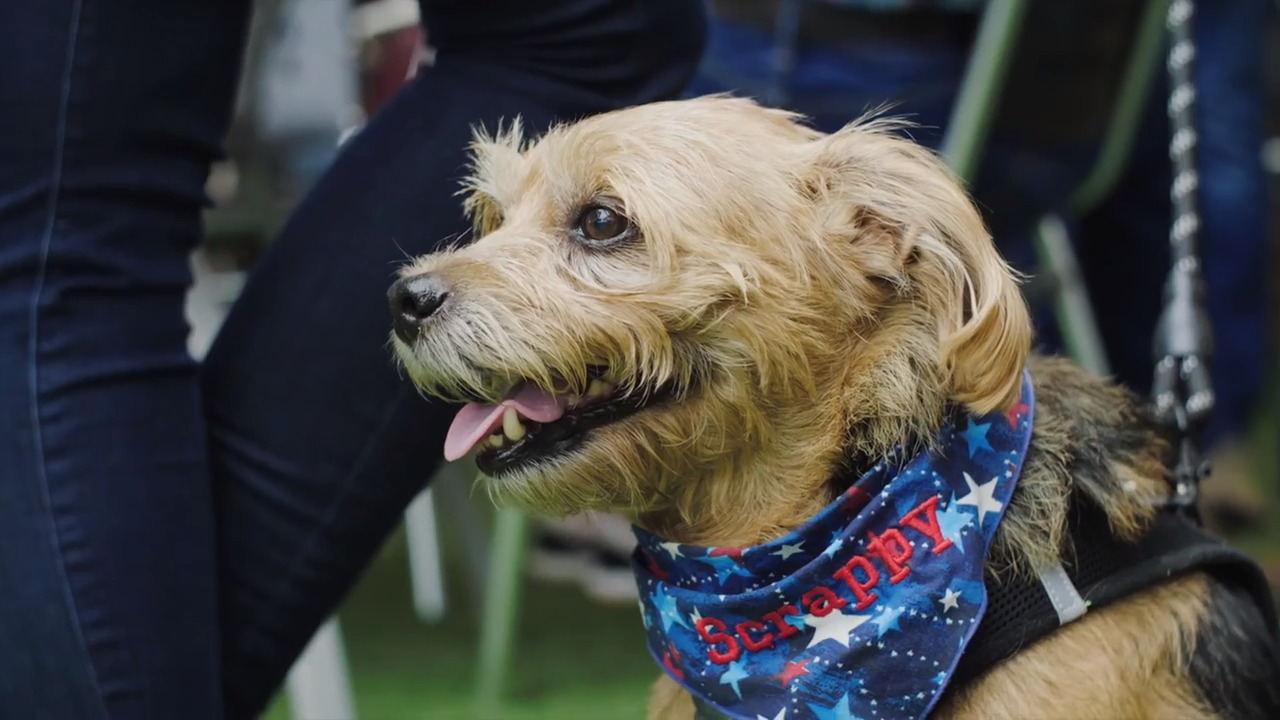 Experience ‘Yappy Hour’ at Motorworks Brewing