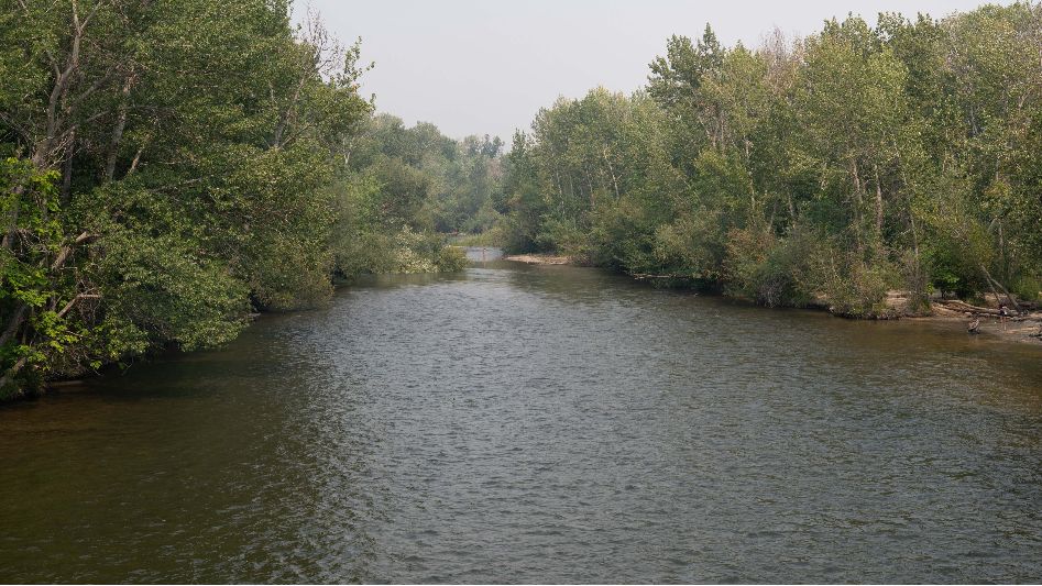 Boise Fire Crews Clear Fallen Tree From Boise River Near Friendship Bridge