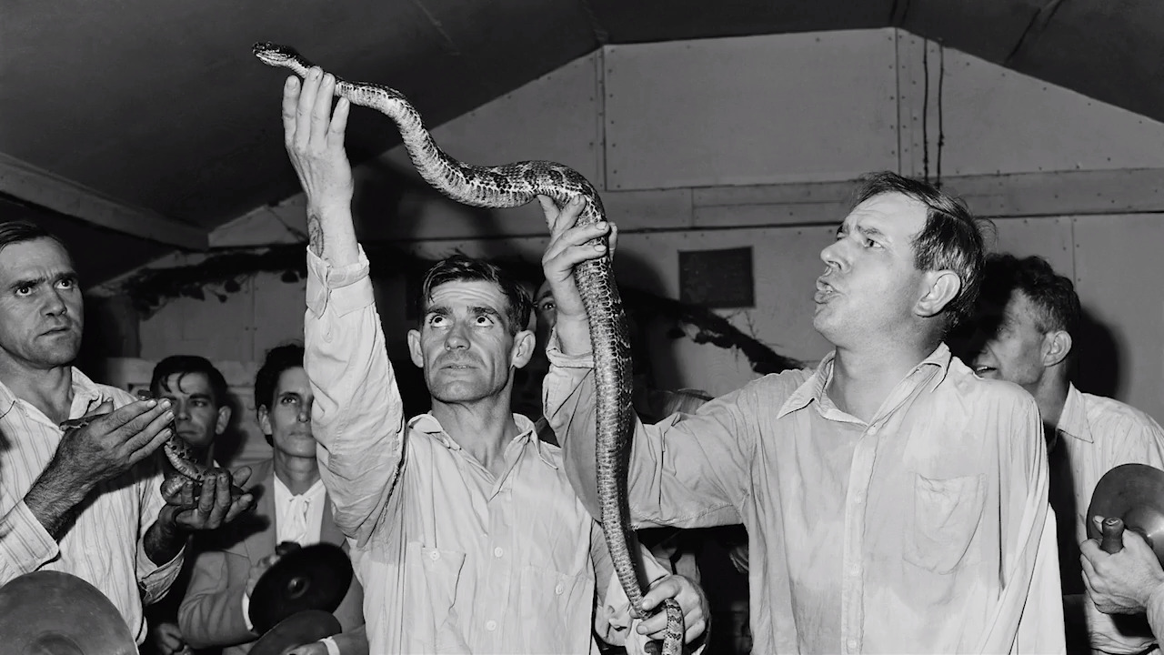 Snakes in church? What to know about serpent handling