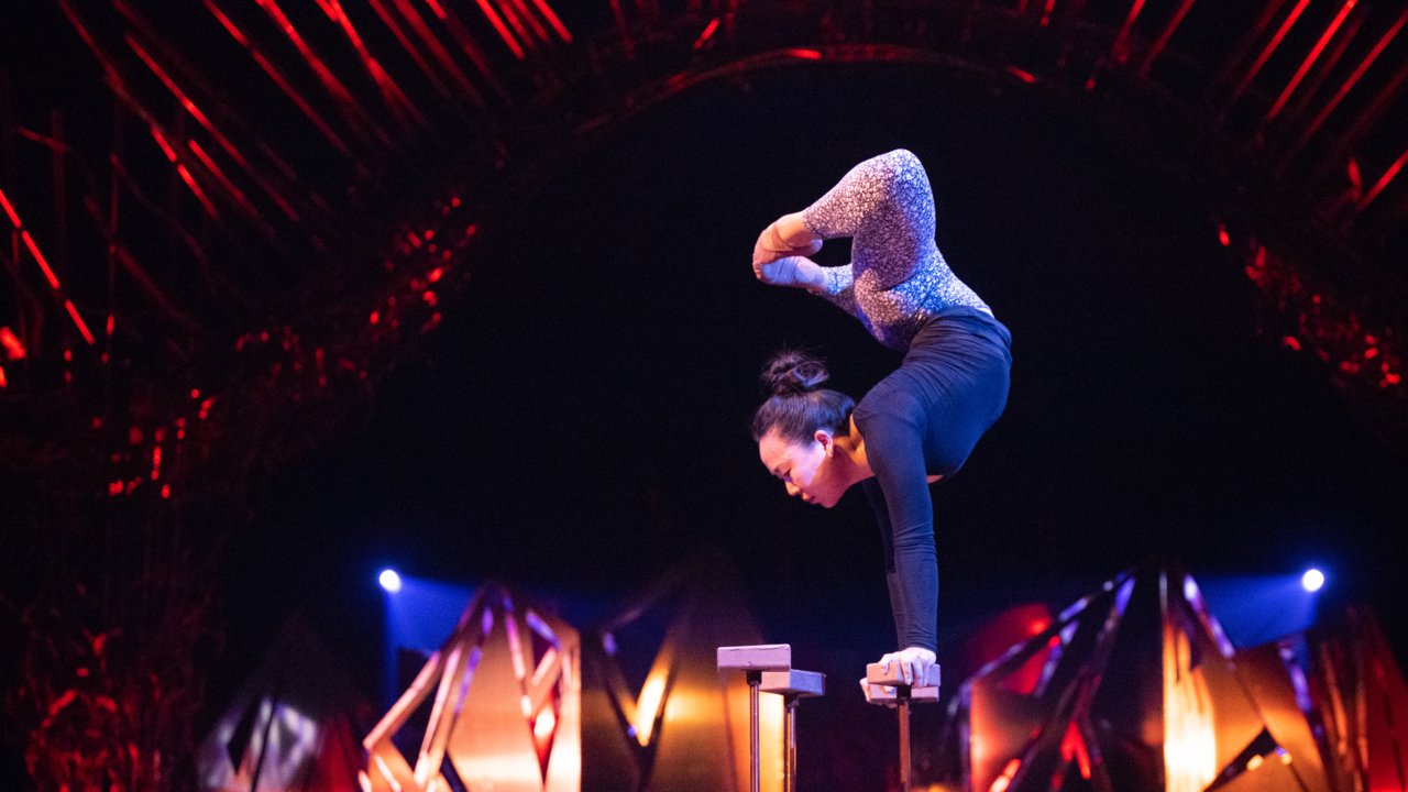 Watch Cirque du Soleil artists rehearse for Alegría under big top in West Sacramento