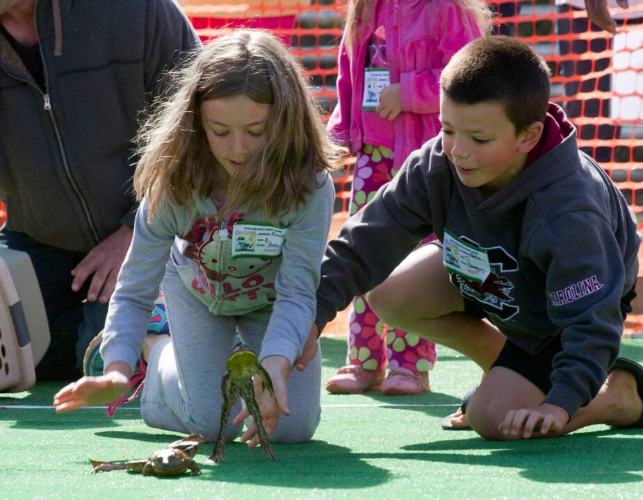 Don’t be a toad; 10 days of Come-See-Me starts Thursday, with frogs and fun
