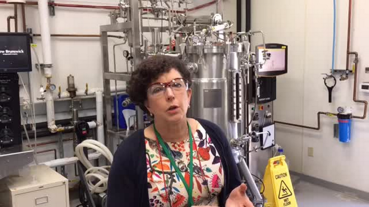 Davis’ Pam Marrone moves past SEC probe, reports big sales growth