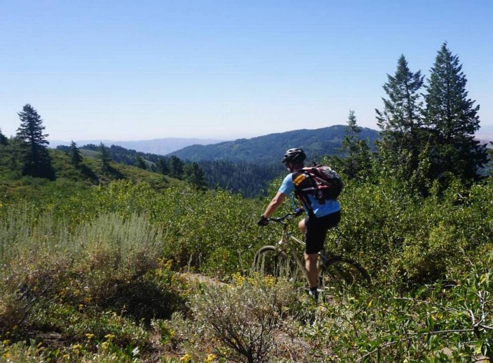 Should bikers and hikers alternate days on Foothills trails? Here’s what experts say
