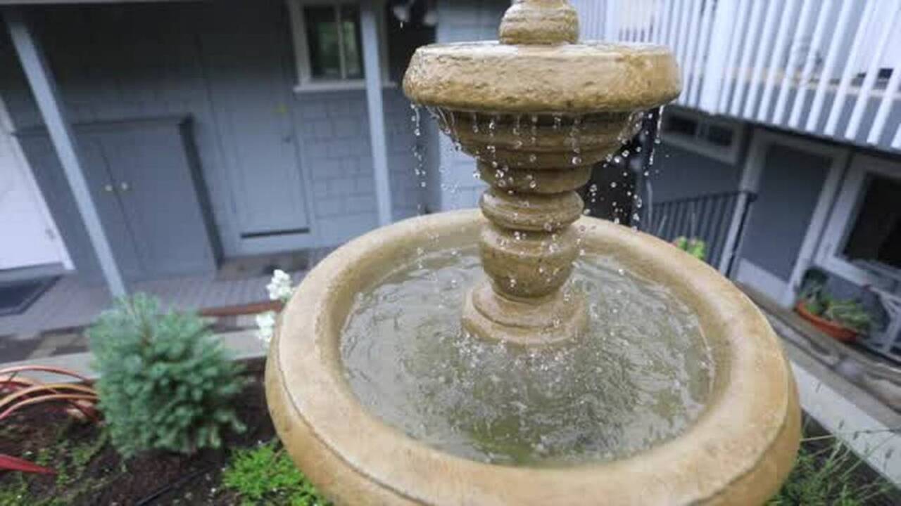 Take a tour of Valerie Powell's Cayucos garden