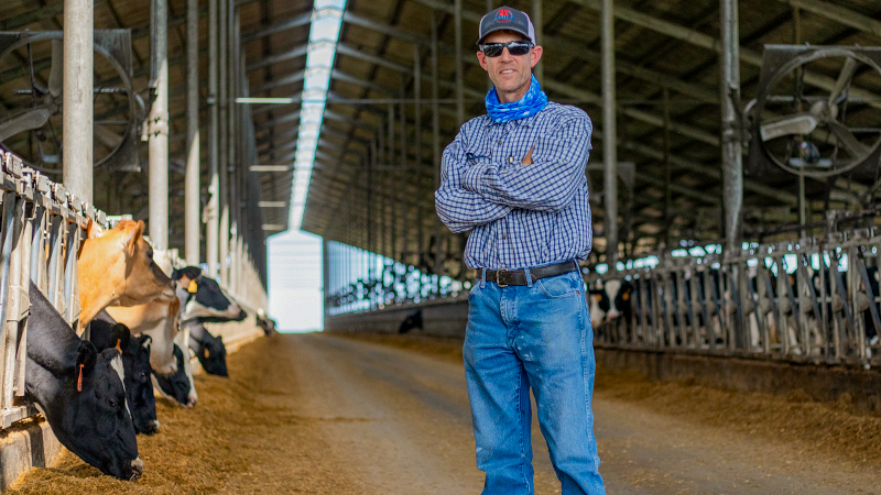 Producing power from cow poop: A Florida dairy aims to reduce climate impact of cattle