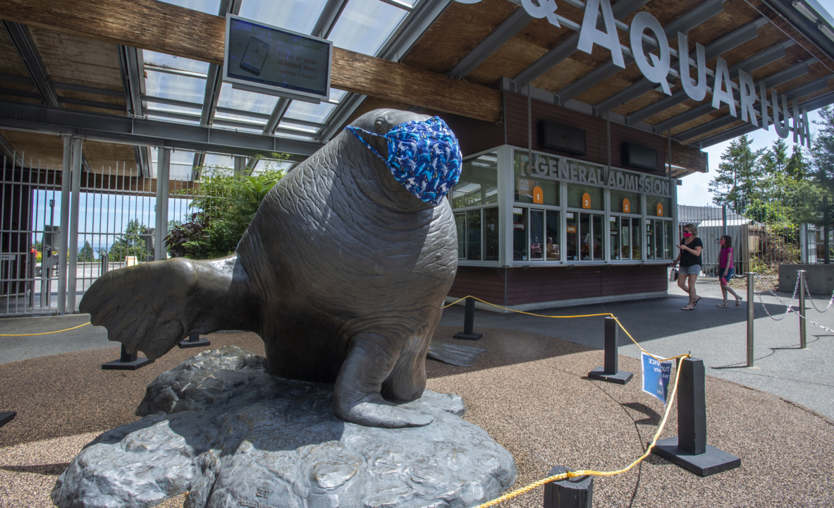 Phase 2 means they’ve reopened the Point Defiance Zoo. Here’s what you can expect