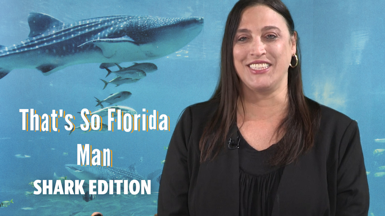 That’s so Florida, man: Shark Edition