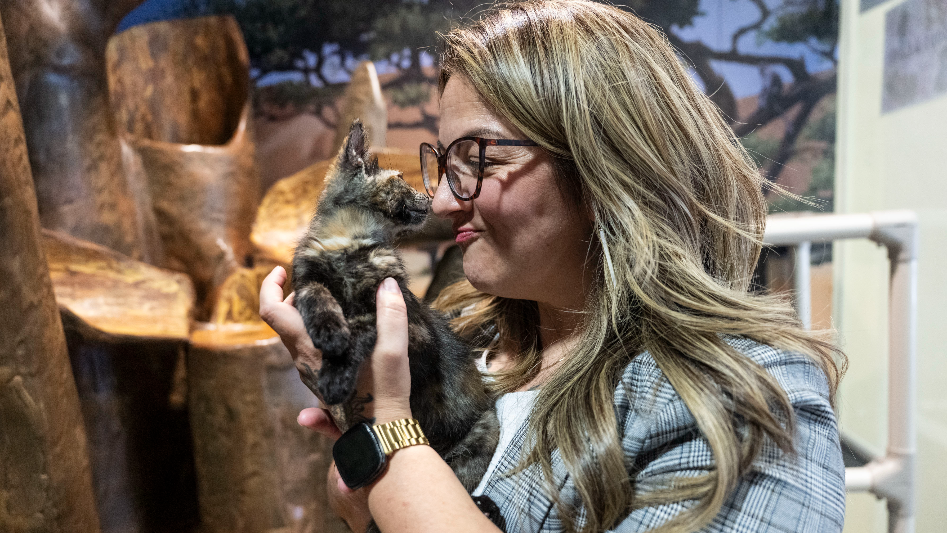 Front Street Animal Shelter has room for improvement but no "doggie dungeon"