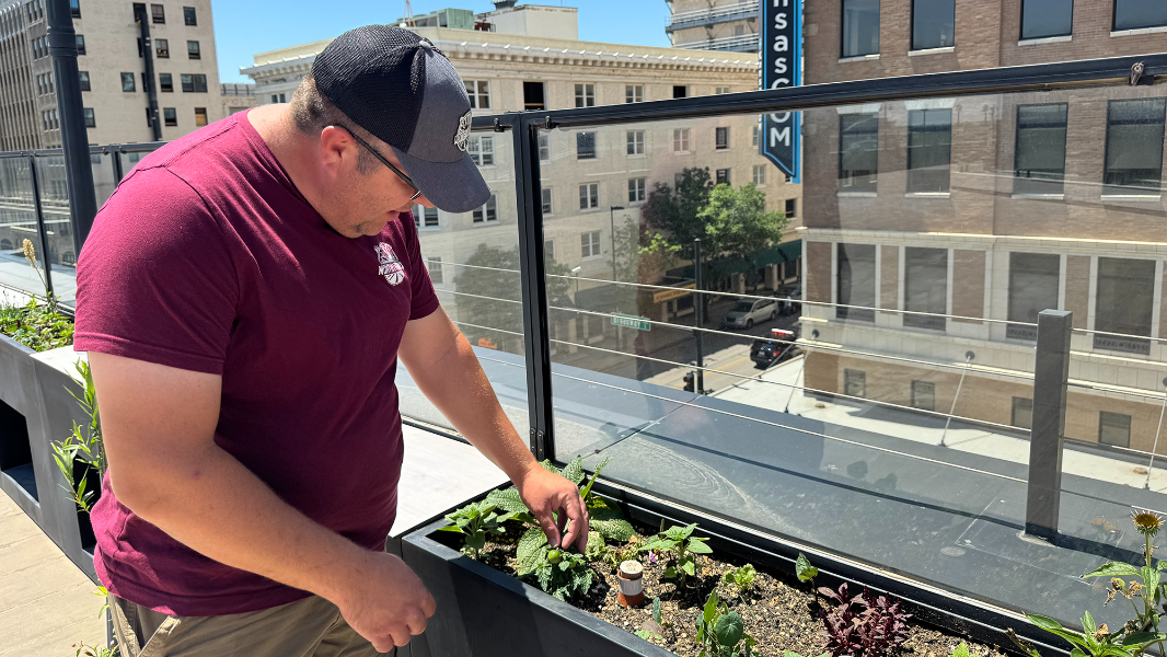 Wichita culinary school gets new rooftop garden