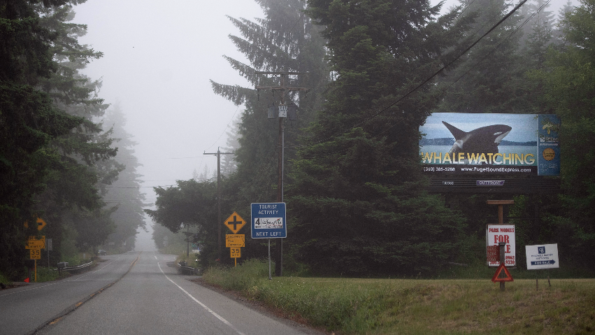 WA’s San Juan Islands a top spot for orca watching. How to plan a whale watching trip