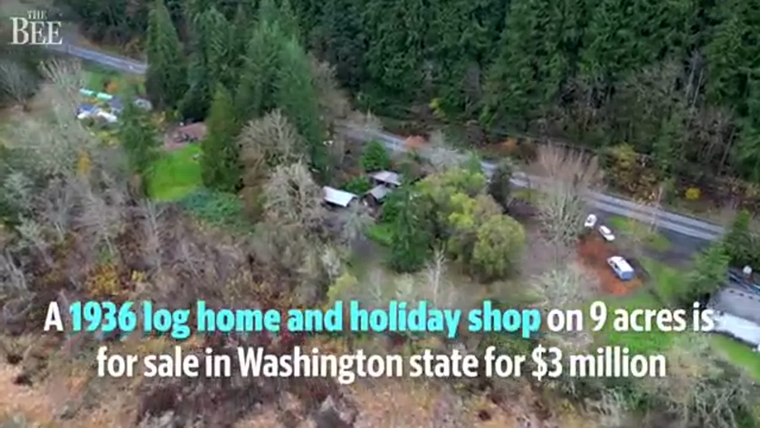 Holiday events abound in Tri-Cities. Over 100 things to do, from bazaars to free concerts