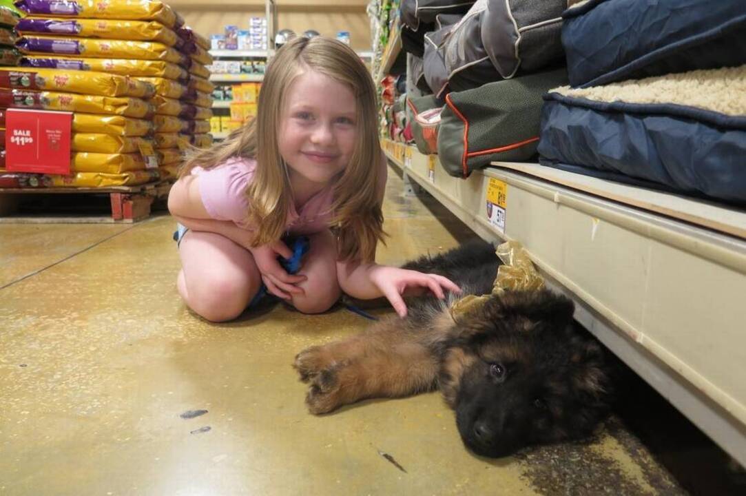 10-year-old girl diagnosed with leukemia gets dream puppy just in time for Christmas