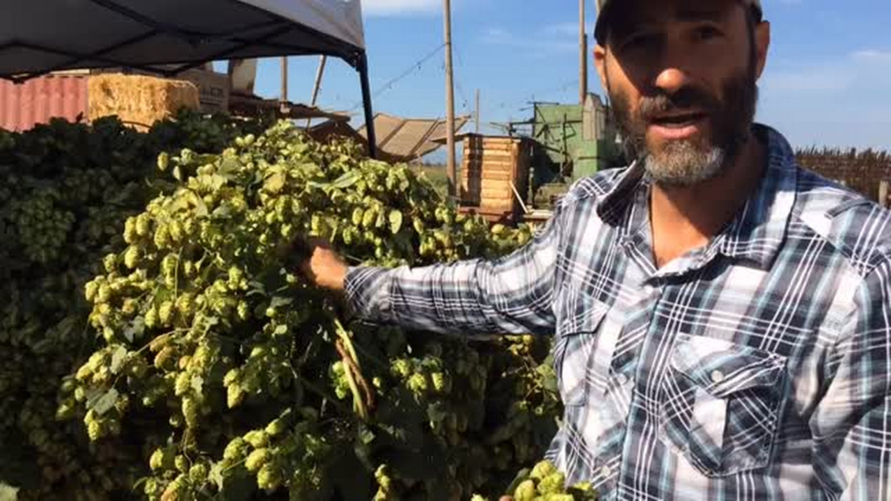 Ruhstaller back in business in Dixon with new tasting room