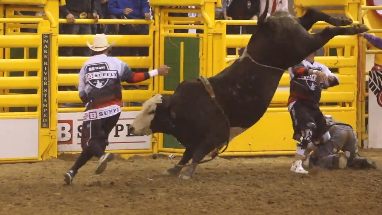 Ride ‘em, cowboy! Bull and bronc rider highlights from Snake River Stampede