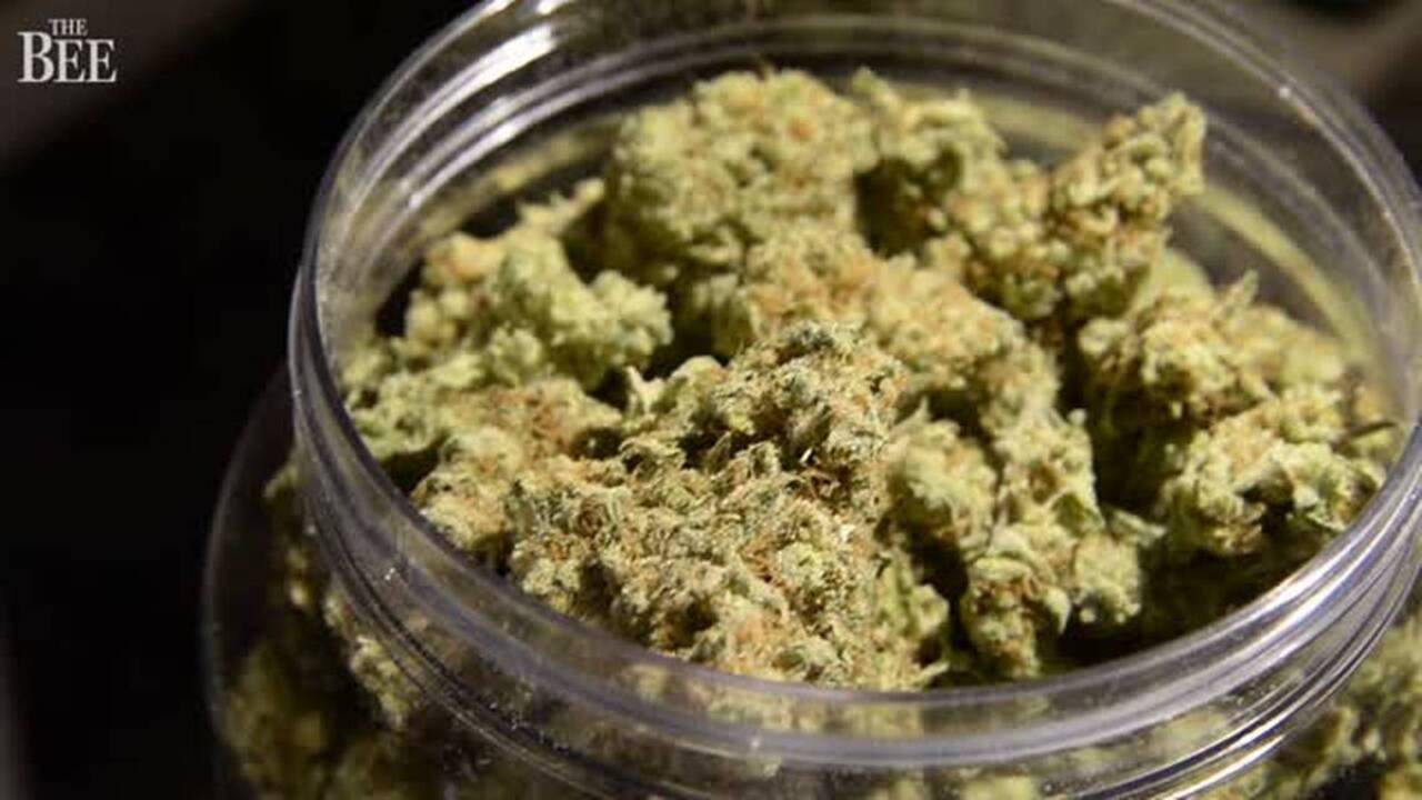 Can I be fired for smoking weed in off-hours? Grow cannabis at home? California laws to know