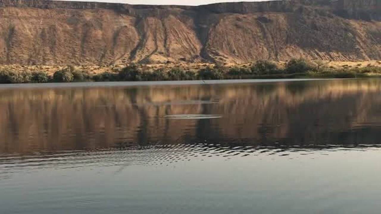 Watch this bass strike a top-water lure at Crane Falls