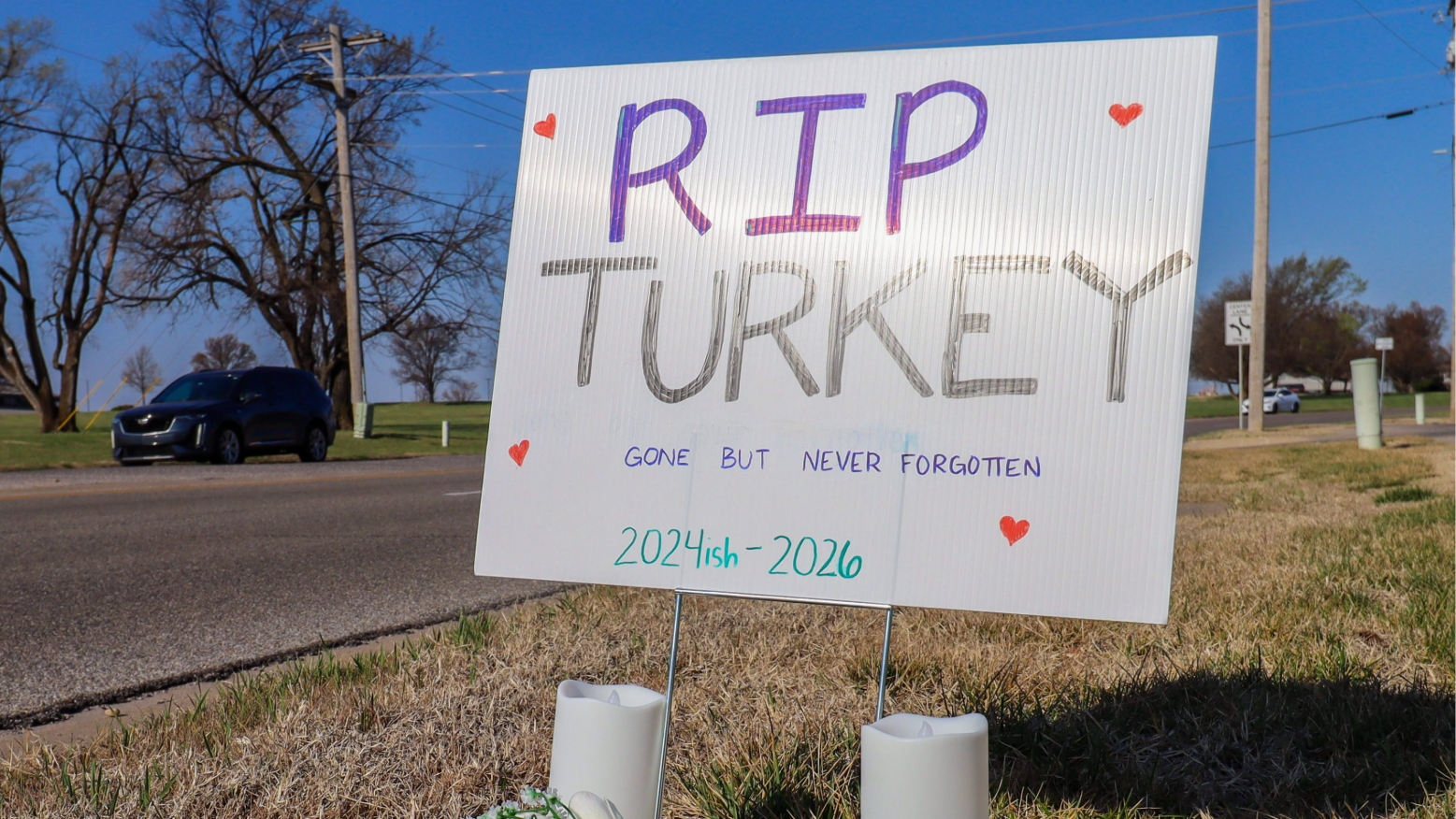 Wichitans mourn turkey missing from Central and Greenwich intersection