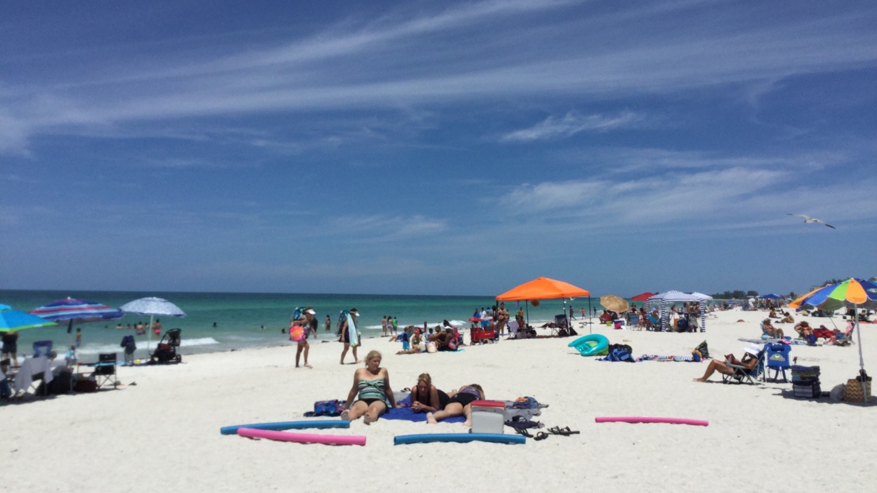 ‘Anna Maria Island should be for everyone.’ Parking limits are ‘greedy’ | Letter to the editor