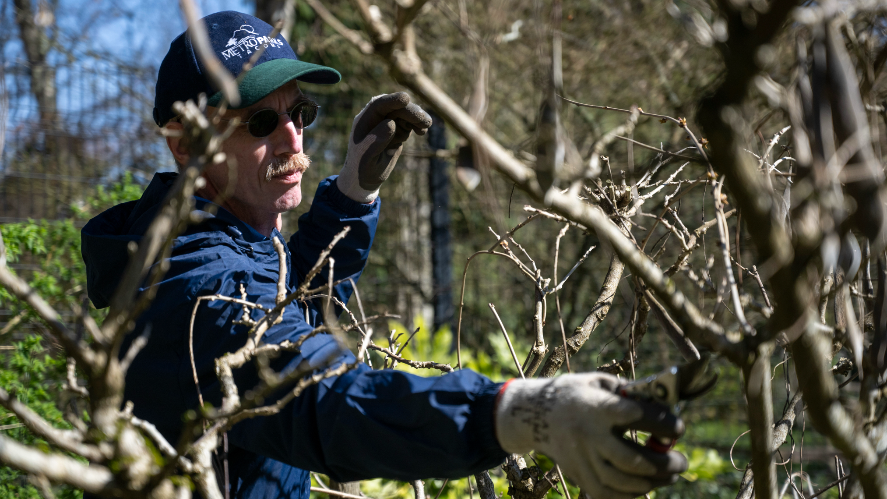 Point Defiance horticulturist Steve Herbig retires after nearly 40 years