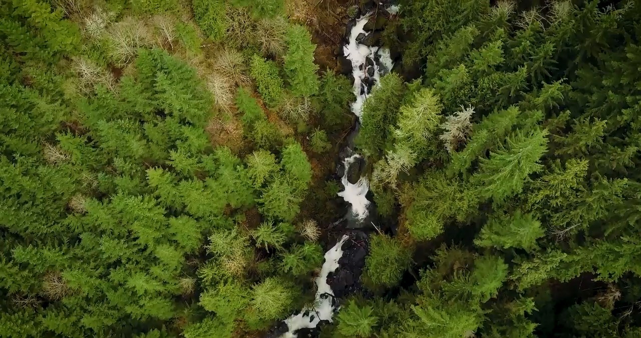 Here’s how warming in the Cascades impacts the Nooksack River in Whatcom County