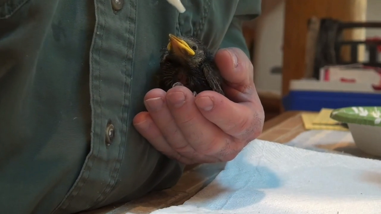 For Amon G. Carter III, a Lucky find and a lesson on life and giving