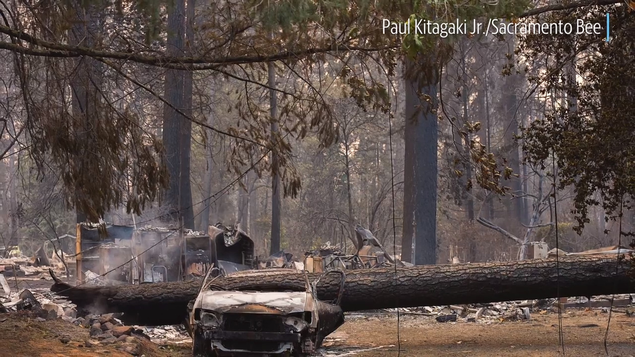 What prompted Trump’s trip to California wildfire sites