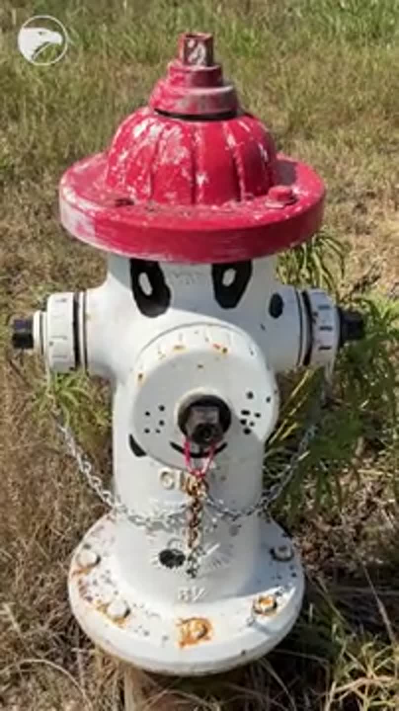 Kechi wants to have residents paint, design fire hydrants