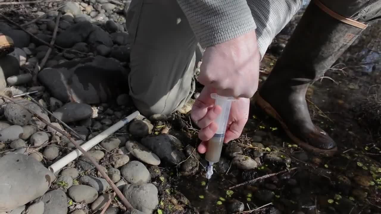 Mighty Microbes Where Rivers Run