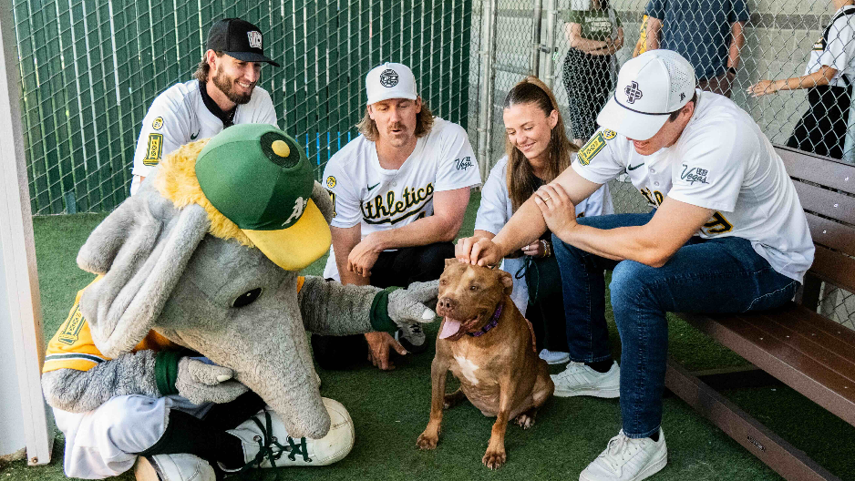 See Athletics visit Sacramento SPCA to highlight pet adoptions