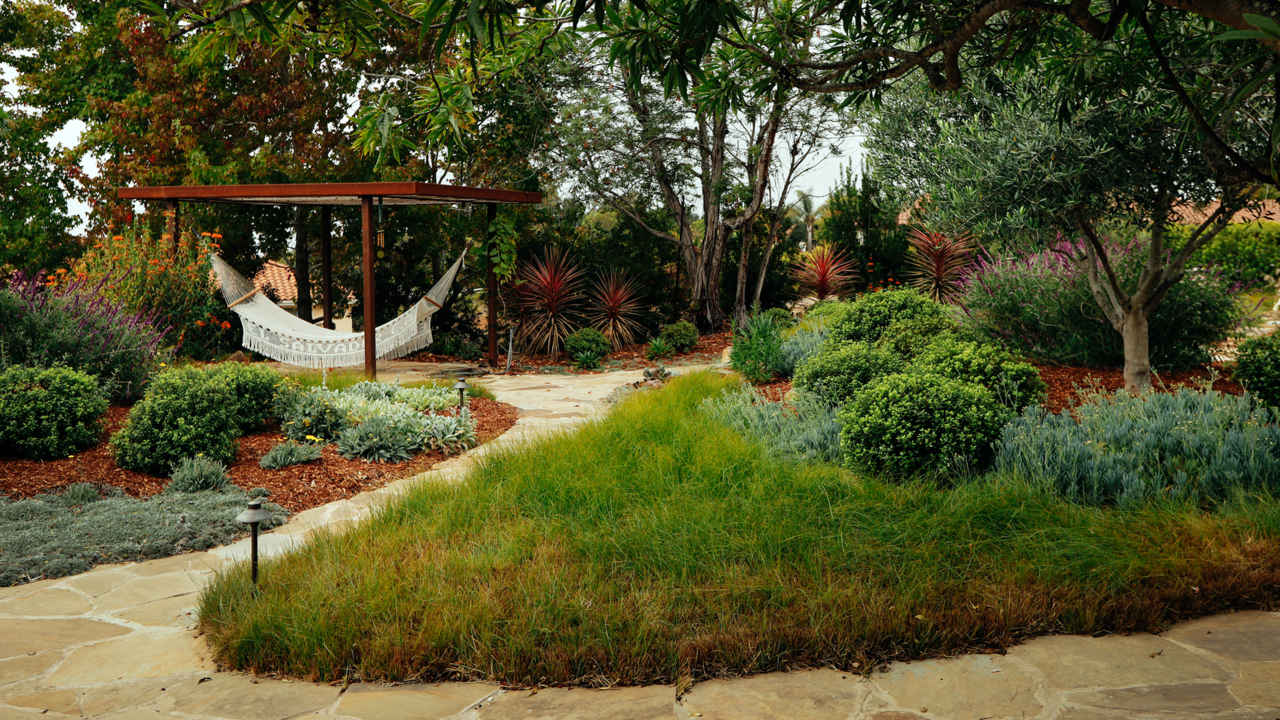 How Arroyo Grande home captures rainwater to create a lush garden — even during drought