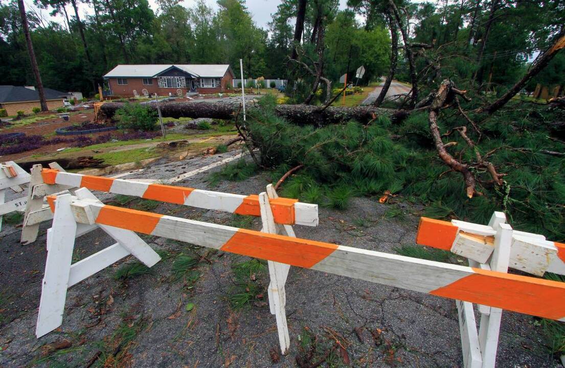 This part of Georgia is not supposed to be tropical