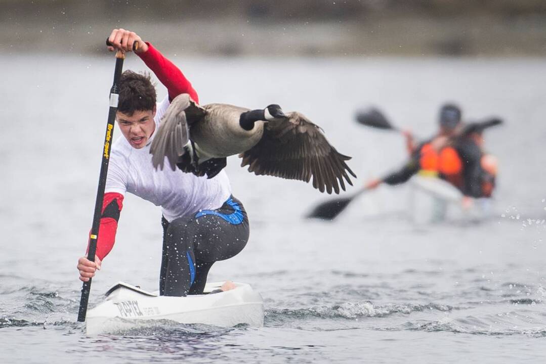 Paddlers Cup a wet, wild, watery adventure
