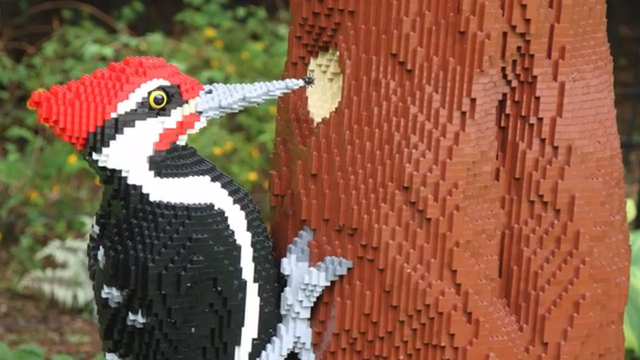 Larger-than-life Lego sculptures fit right in at Botanica’s gardens