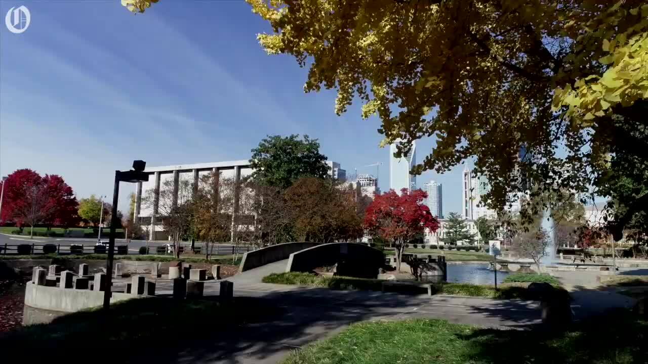 Splashes of Fall color still in the area