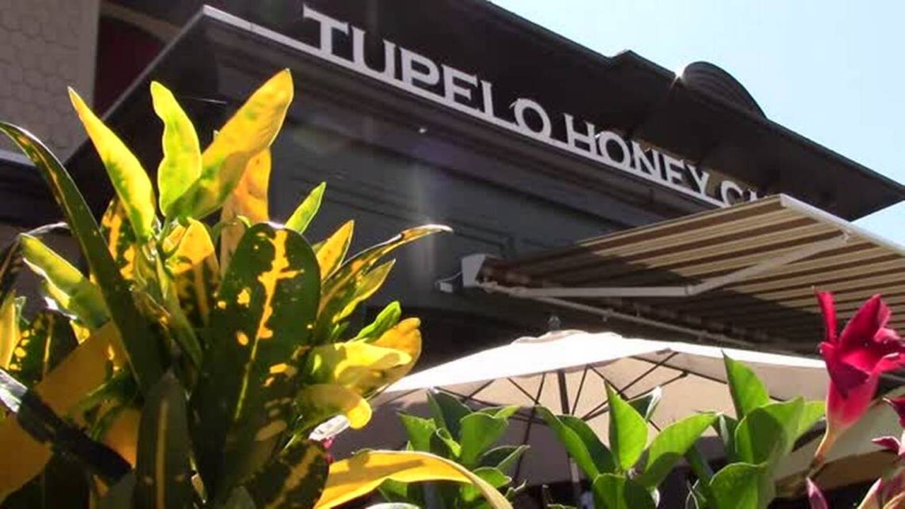 Tupelo Honey, Myrtle Beach | Where the Locals Eat