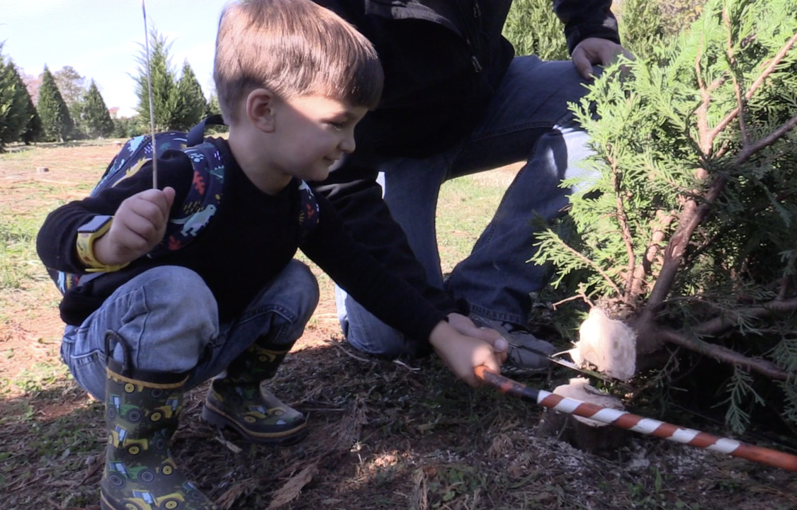 So cute! Watch this 2-year-old find his Christmas tree at a York County SC farm.