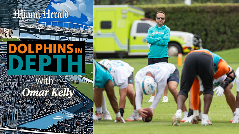 Dolphins in Depth: Dolphins defense starting from square one