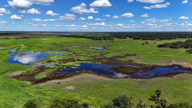 Myakka residents want to keep their country way of life