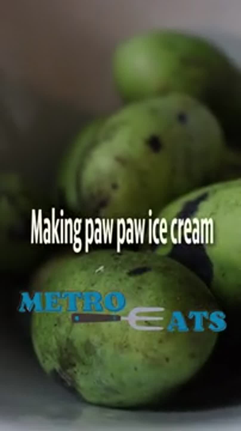 Making ice cream from paw paws, Illinois's native fruit