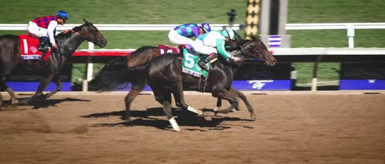 What’s next for Gun Runner? Breeders’ Cup winner could run in world’s richest race