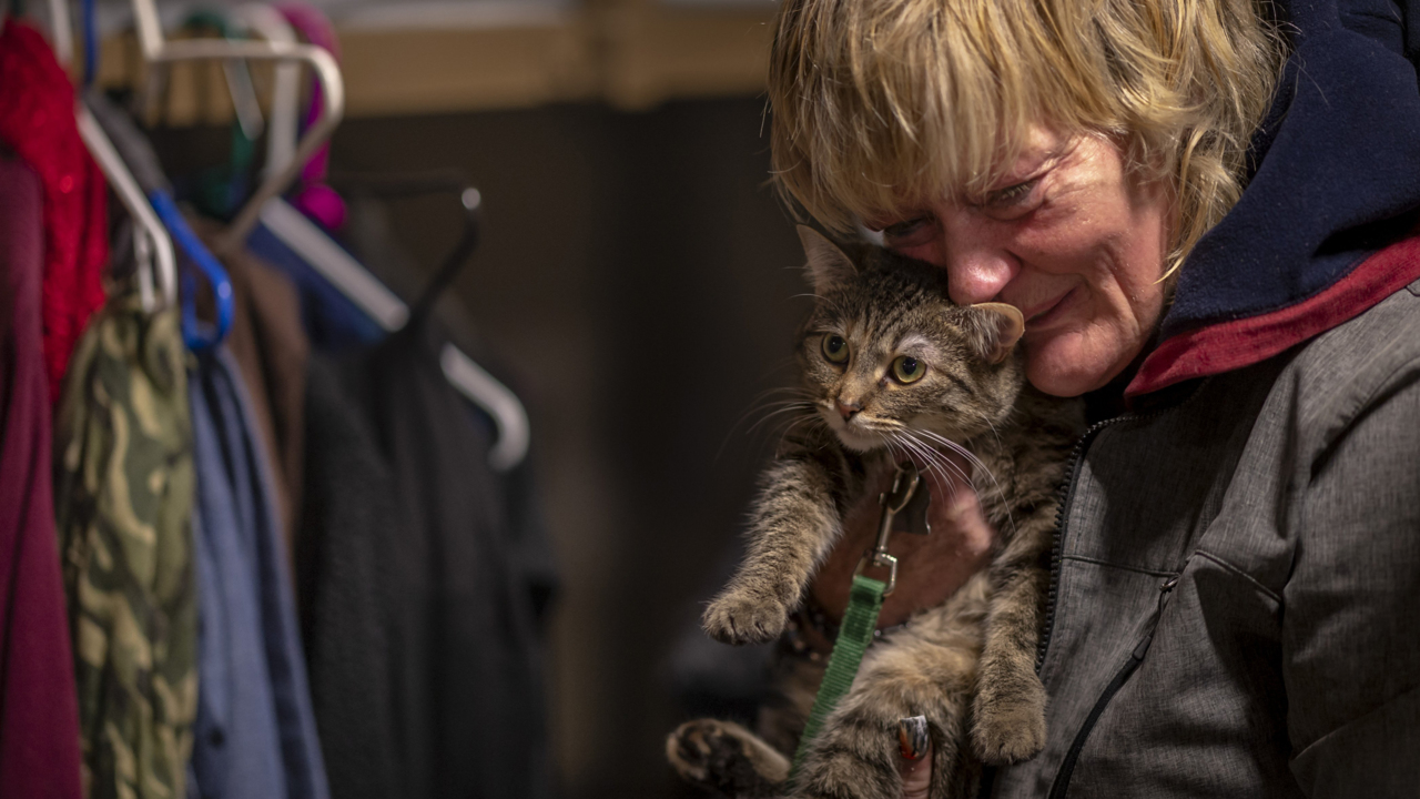 ‘People love their pets whether they’re in a house or not’ Inside the Sacramento triage shelter