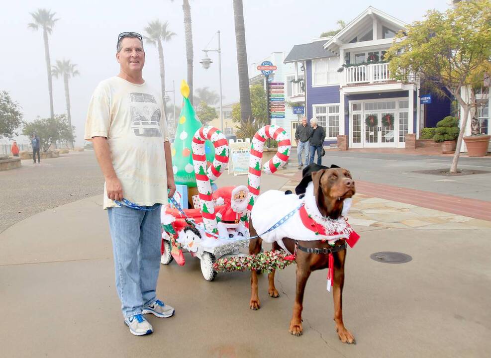 Dogs in holiday costume prance down the Avila Beach promenade