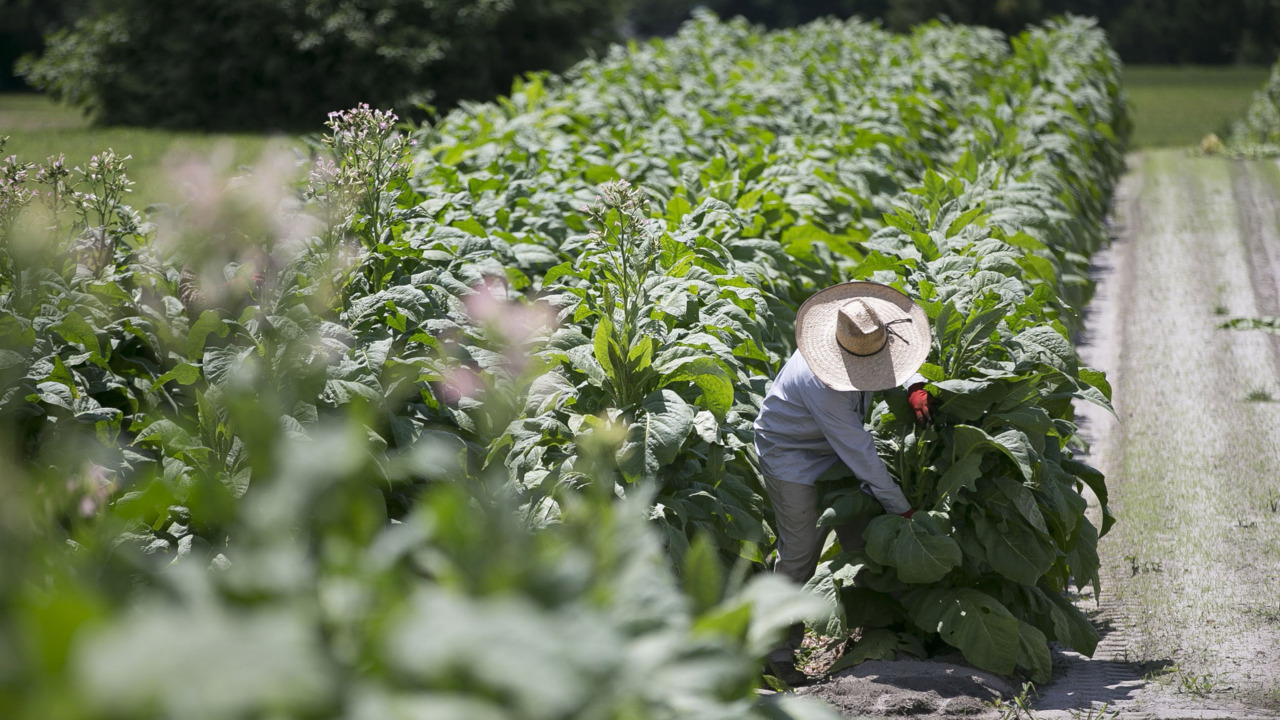 Biden order to OSHA on COVID-19 a ‘game changer’ for NC workers, advocates say
