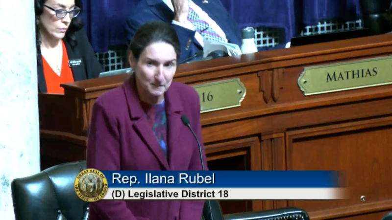 Idaho Democrat responds to suspension of rules